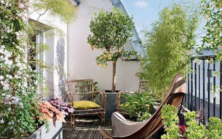 How to Transform Your Small Balcony into a Cozy Outdoor Oasis